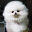 ย้ายบ้านแล้ว ผญ