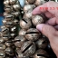 กระดิ่ง ทองเหลือง โบราณ หลายขนาด (ขายปลีก ขายส่ง)