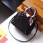 กระเป๋า lv Alma bb monogram pm 10 นิ้วมีหลายสี
