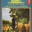 ฝันสีดำ (The Blind Owl)