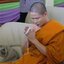ไม้ครู (ขนาดพกพา 5.9นิ้ว) (จารยันต์ บรรจุ ฝั่งตะกรุด อุดมวลสาร ) (ไม้ครู คือ ทุกสิ่งที่ครูบาอาจารย์ทำไว้ให้ที่ครูมอบให้)) ปี2563 - ปลุกเสกอฐิษฐานจิต บรรจุมวลสาร จารย์ยันต์และตะกรุดด้วยมือ หลวงพ่อบ๊ะ วัดโพธิ์ลังกา