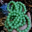 ข้อมือ หินเขียว
