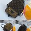 กระเป๋า lv backpack palm spring 8 นิ้ว