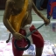 รูปหล่อ พรานบุญ