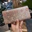 LV long flap wallet with gwp (แอดไลน์ก่อนสั่งซื้อ)