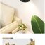 โคมไฟติดผนังภายในสไตล์โมเดิร์น Contemporary สีดำ-ทอง [AL7123]