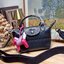 Longchamp le pliage xtra XS handbag (แอดไลน์ก่อนสั่งซื้อ)