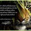 เขี้ยวเสือ เนื้อโลหะผิวรุ้ง (#พิธีพยัคฆ์บารมี #เป็นเมตตาและอำนาจ) พ่อปู่ฤาษีเจ้าสมิงพรายสงเคราะห์ ปี2563 - หลวงพ่อเล็ก วัดท่าขนุน