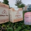 Collagen Plus VitE (ผลิตในมาเลเซีย/อินโดนีเซีย) ของแท้ 100% มีเก็บเงินปลายทาง