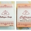 Collagen Plus VitE (ผลิตในมาเลเซีย/อินโดนีเซีย) ของแท้ 100% มีเก็บเงินปลายทาง