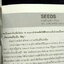 เธอกับฉันและคนอื่นๆ