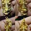 พระอุรังคธาตุรฤก (พญานาค พระธาตุพนม หนุมาน)